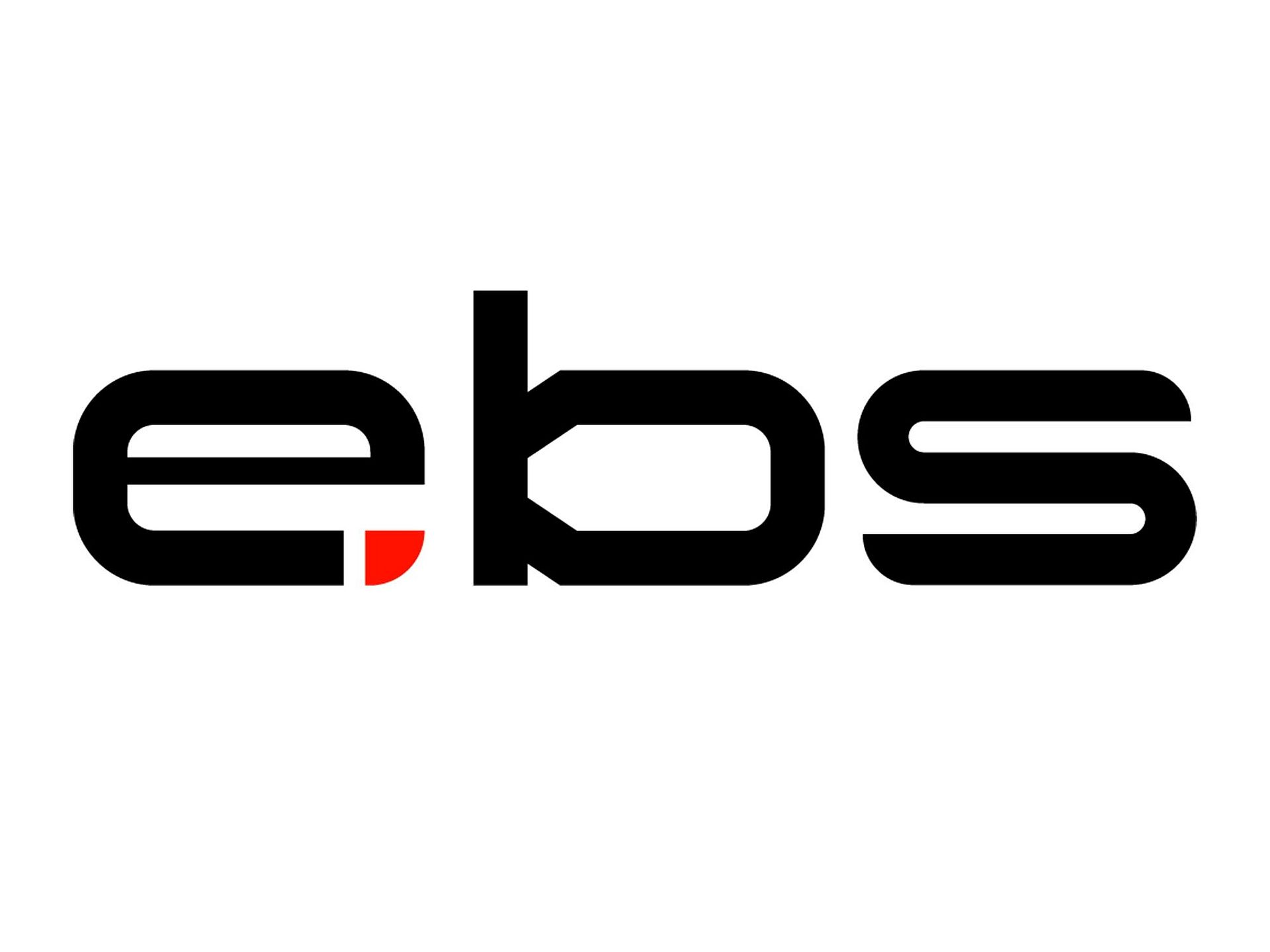 Partner Logo e.battery systems AG